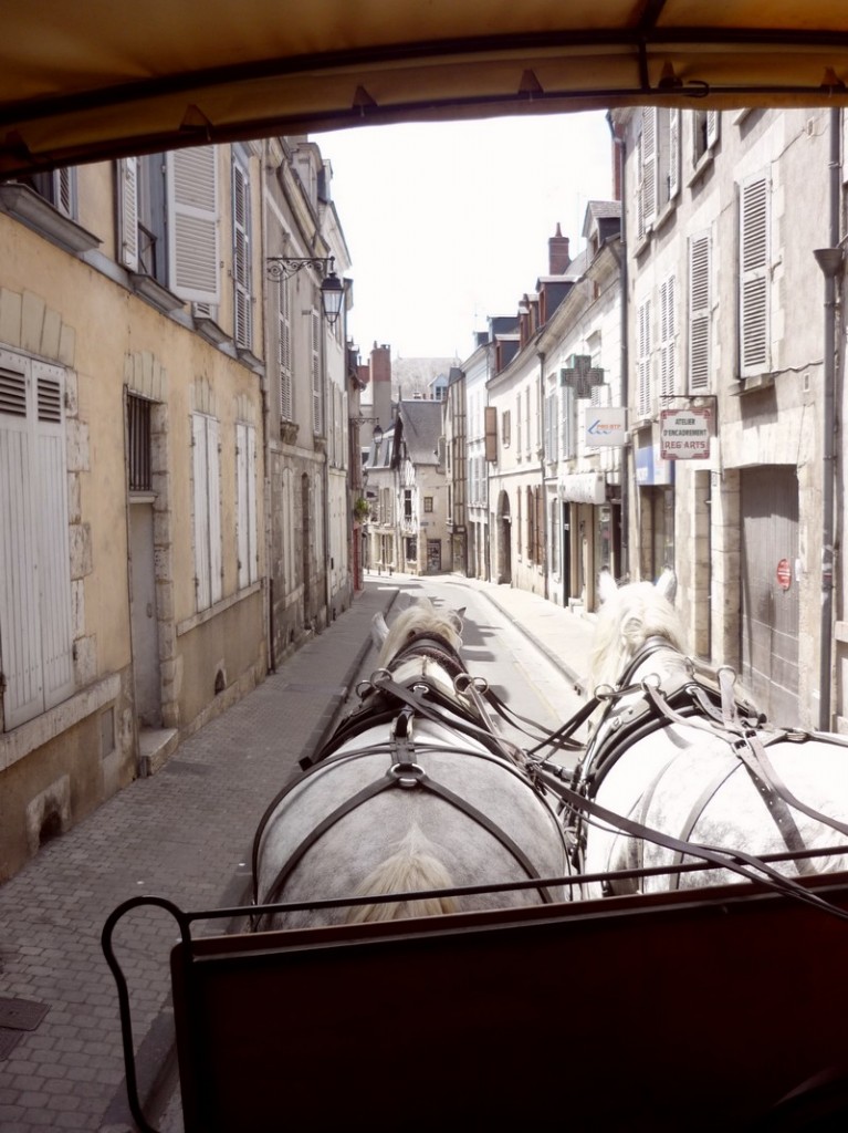 Ville_Blois (1)