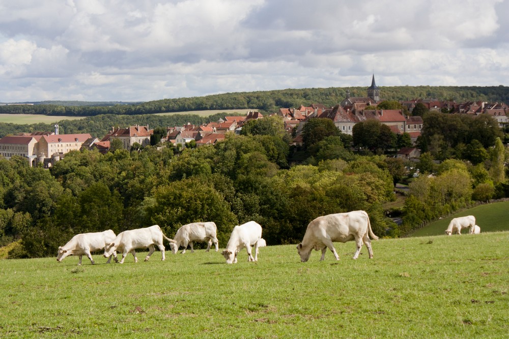 Flavigny Anis La Boucle Voyageuse (2)