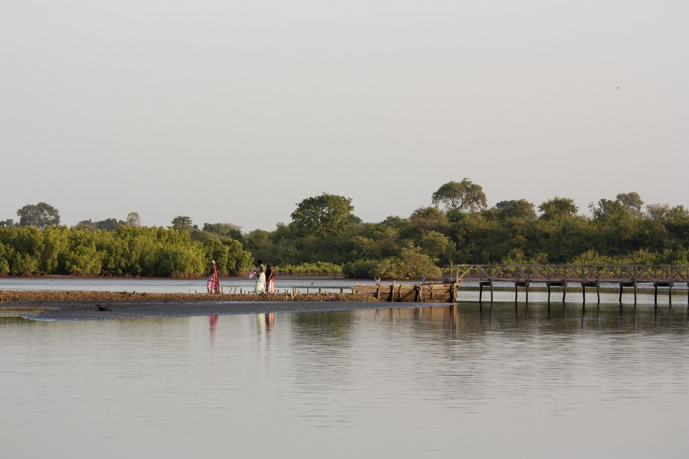 Fadidi Nimbato la boucle voyageuse (4)