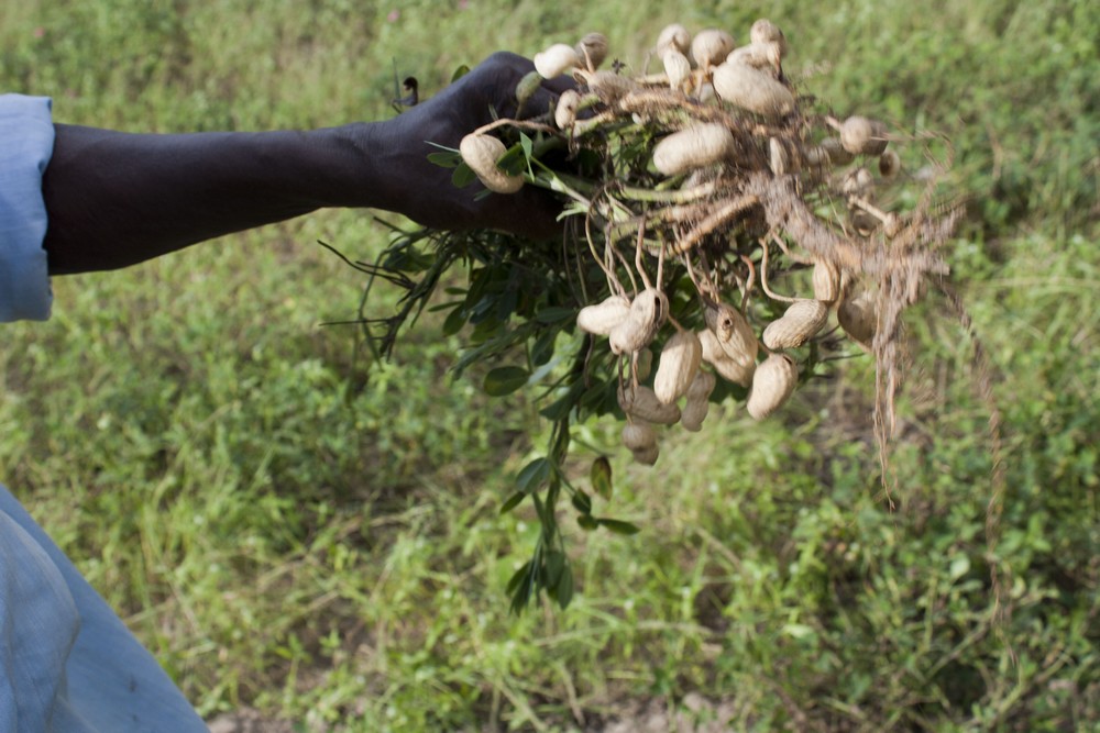 Ndoffane_Senegal_La_Boucle_Voyageuse (3)