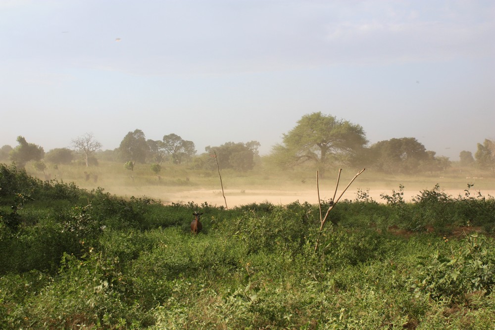 Ndoffane_Senegal_La_Boucle_Voyageuse (7)