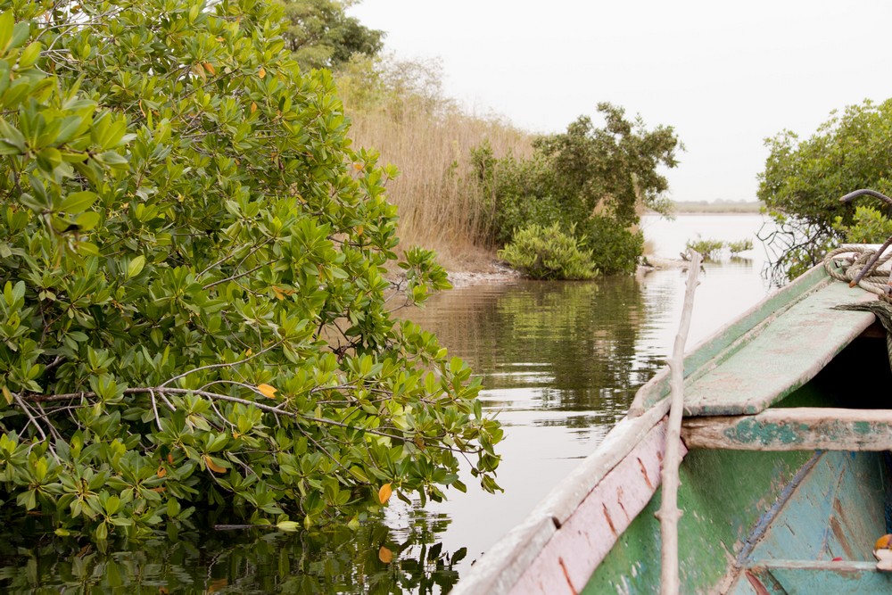 Ile-aux-coquillages_Senegal_La-Boucle-Voyageuse (2)