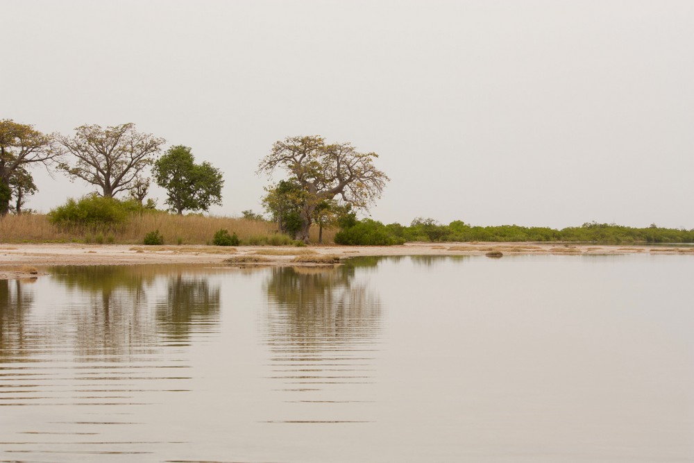 Ile-aux-coquillages_Senegal_La-Boucle-Voyageuse (3)