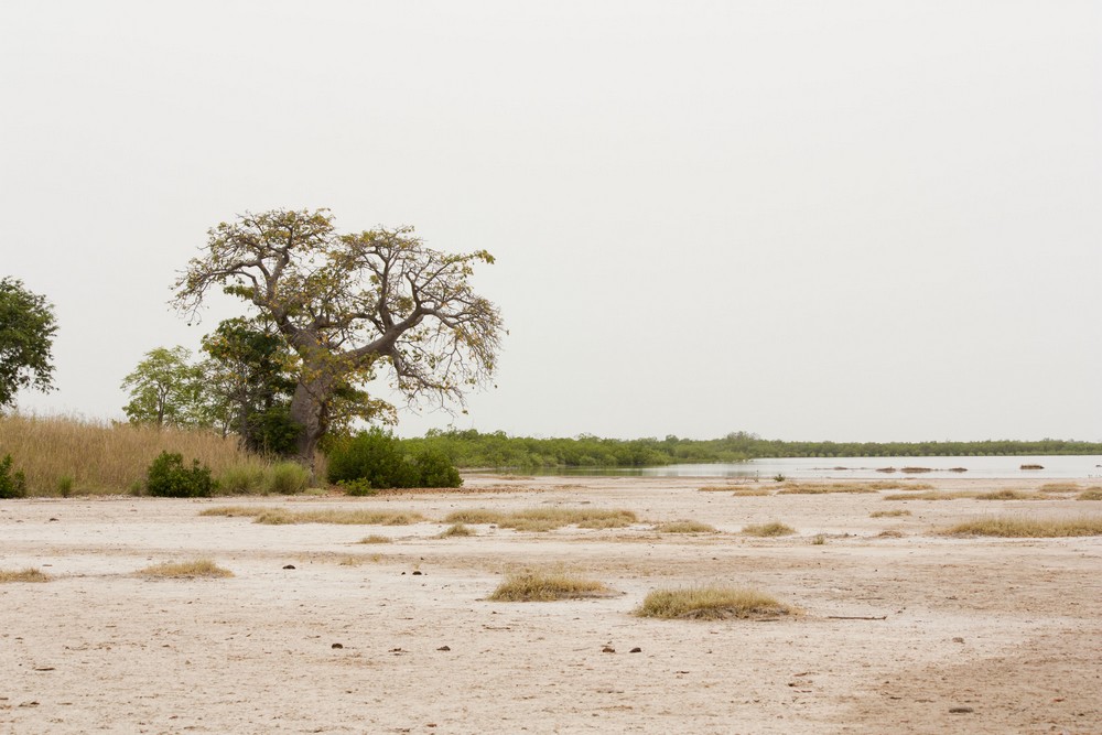 Ile-aux-coquillages_Senegal_La-Boucle-Voyageuse (6)