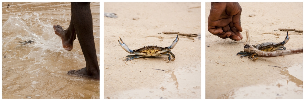 Ile-aux-coquillages_Senegal_La-Boucle-Voyageuse