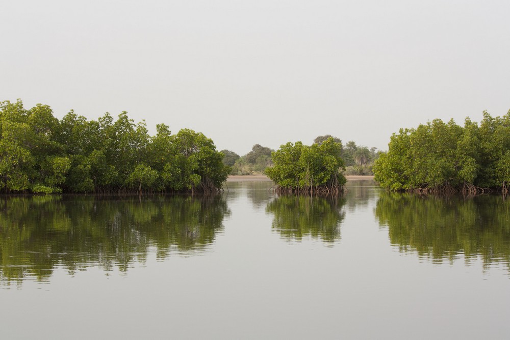 Pirogue_Sine-Saloum_Senegal_La-Boucle-Voyageuse (2)