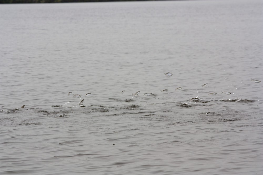 Pirogue_Sine-Saloum_Senegal_La-Boucle-Voyageuse (3)