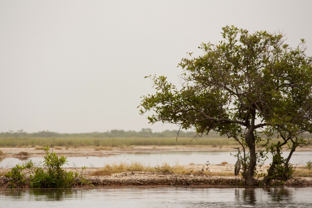 Pirogue_Sine-Saloum_Senegal_La-Boucle-Voyageuse (7)