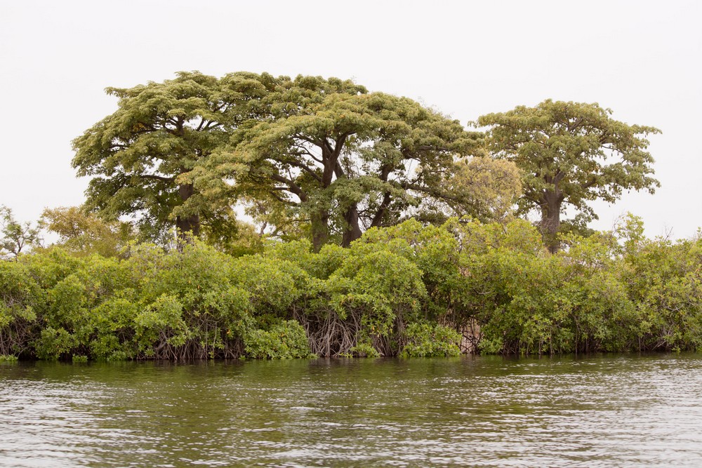 Pirogue_Sine-Saloum_Senegal_La-Boucle-Voyageuse (8)