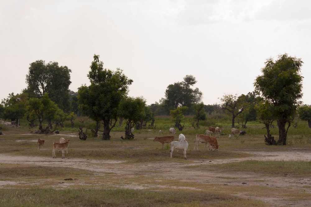 Sénégal_Limane_La-Boucle-Voyageuse (22)