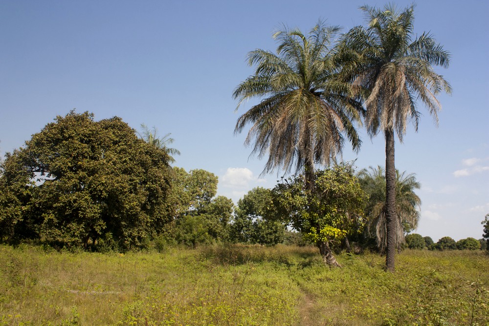 Sénégal_Ndiambang_La-Boucle-Voyageuse (14)