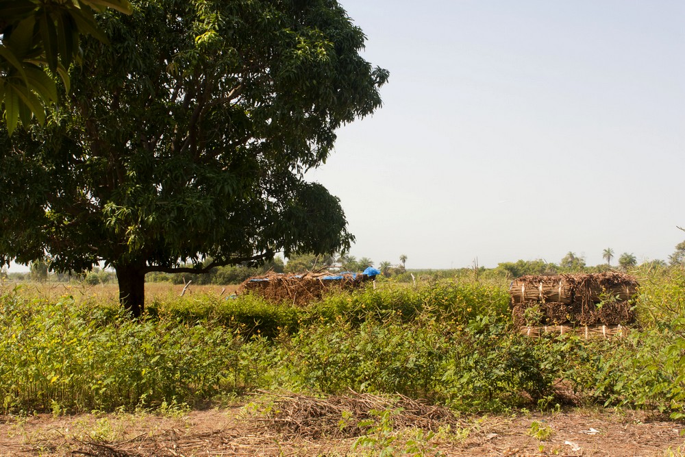 Sénégal_Ndiambang_La-Boucle-Voyageuse (2)