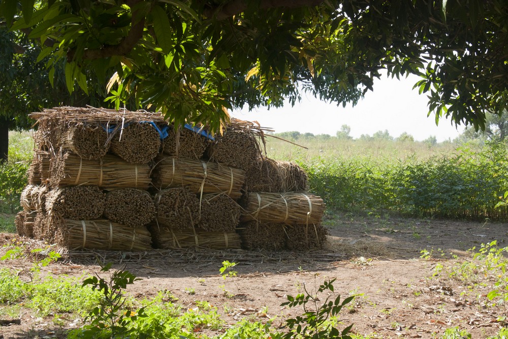 Sénégal_Ndiambang_La-Boucle-Voyageuse (3)