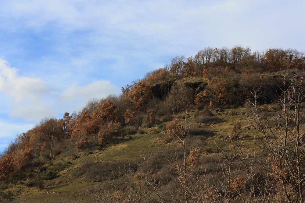 Hiver_Auvergne_Sans_neige (11)