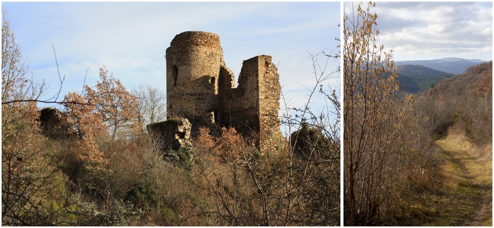 Hiver_Auvergne_Sans_neige (19)