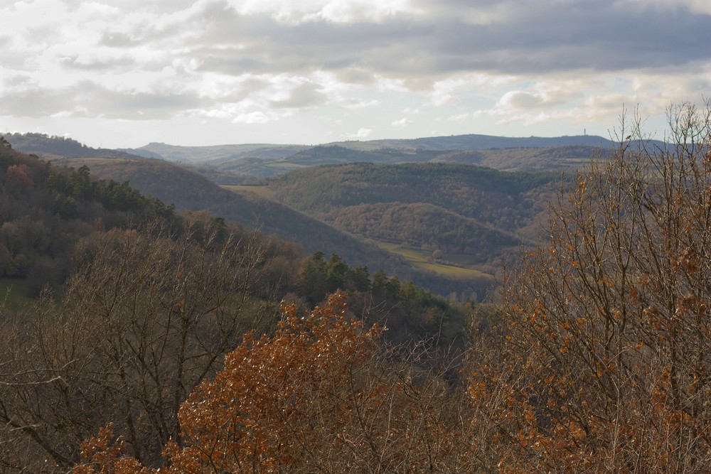 Hiver_Auvergne_Sans_neige (22)