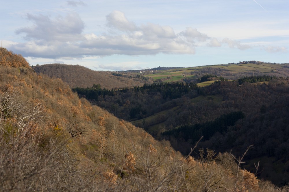 Hiver_Auvergne_Sans_neige (25)