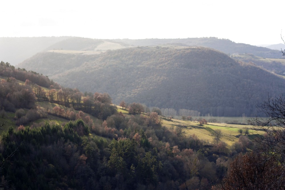 Hiver_Auvergne_Sans_neige (26)