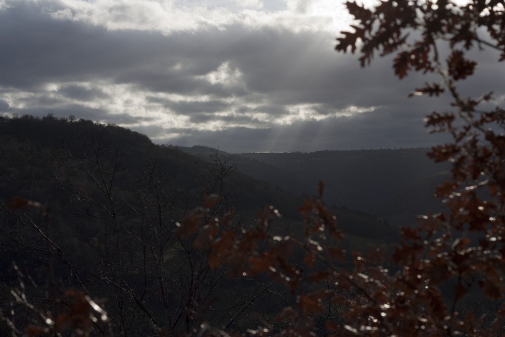 Hiver_Auvergne_Sans_neige (28)