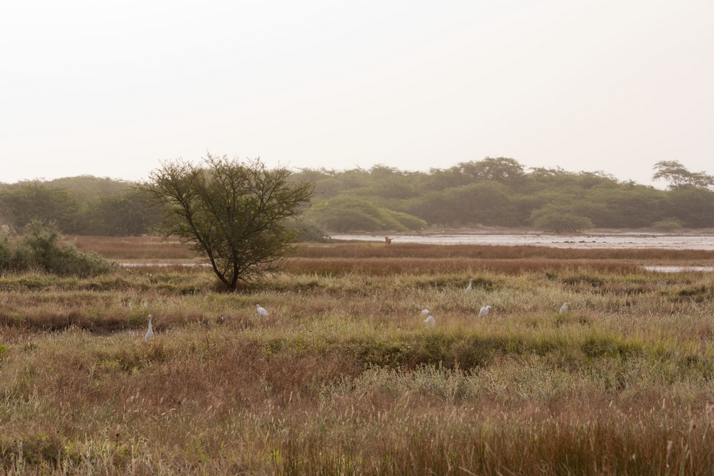 Sine-Saloum_Senegal_La-Boucle-Voyageuse (1)