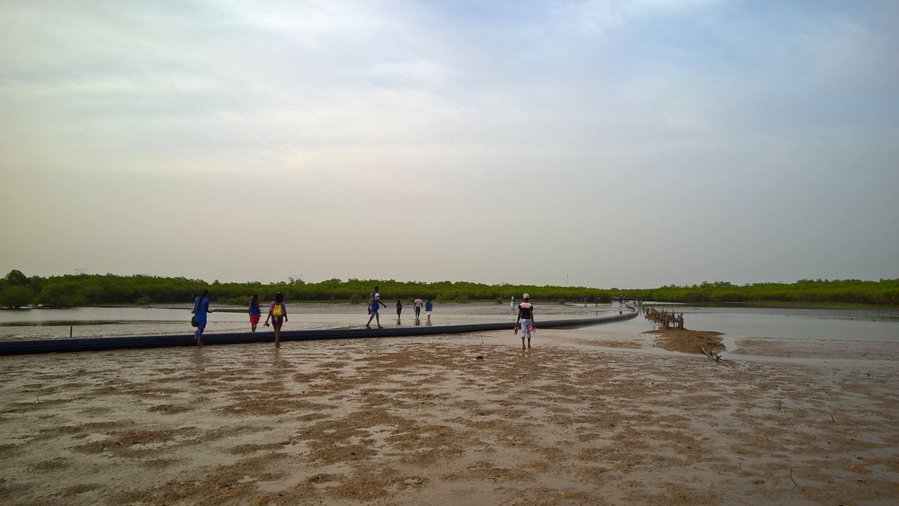 Sine-Saloum_Senegal_La-Boucle-Voyageuse (19)