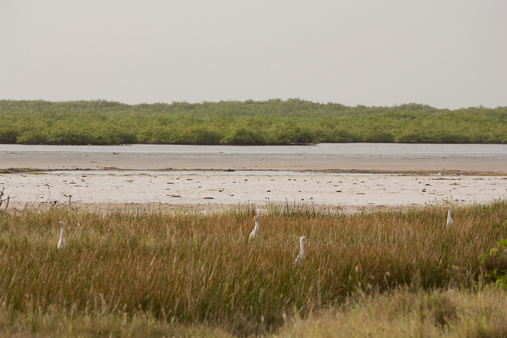 Sine-Saloum_Senegal_La-Boucle-Voyageuse (3)