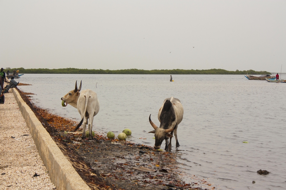 Sine-Saloum_Senegal_La-Boucle-Voyageuse (6)