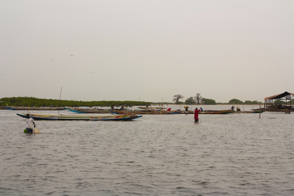 Sine-Saloum_Senegal_La-Boucle-Voyageuse (8)