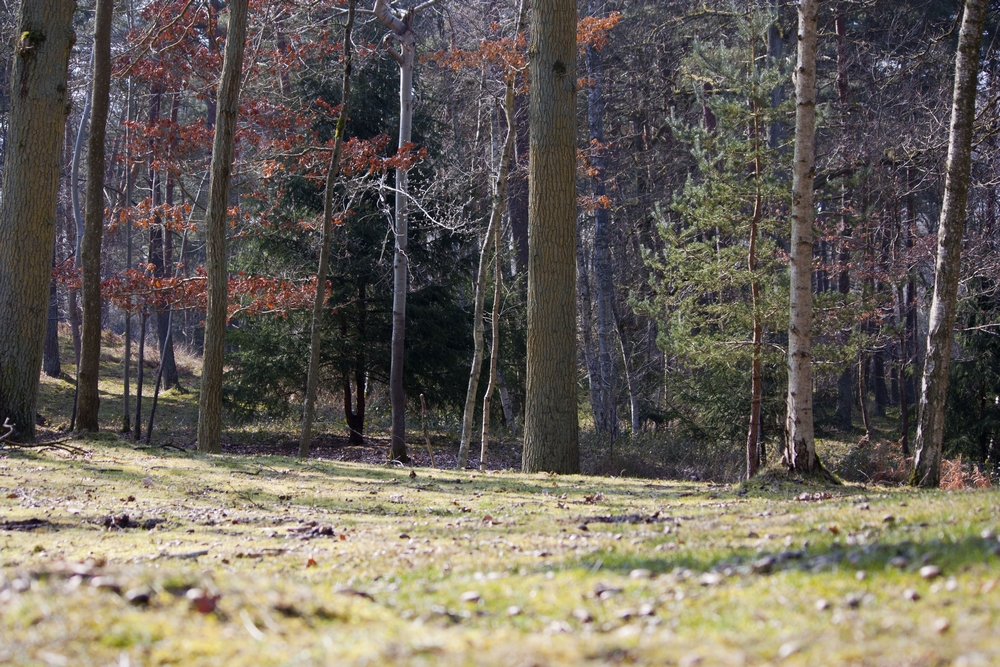 Fere-en-Tardenois-Nature_La-Boucle-Voyageuse (2)