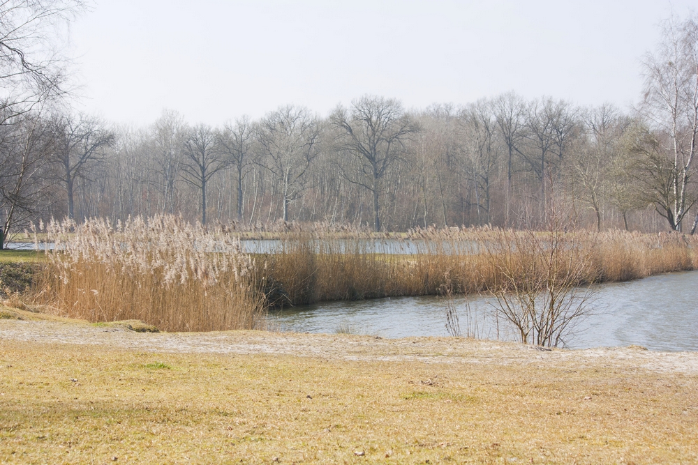 Fere-en-Tardenois-Nature_La-Boucle-Voyageuse (3)