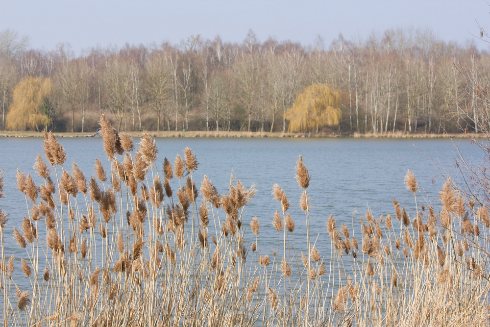 Fere-en-Tardenois-Nature_La-Boucle-Voyageuse (4)