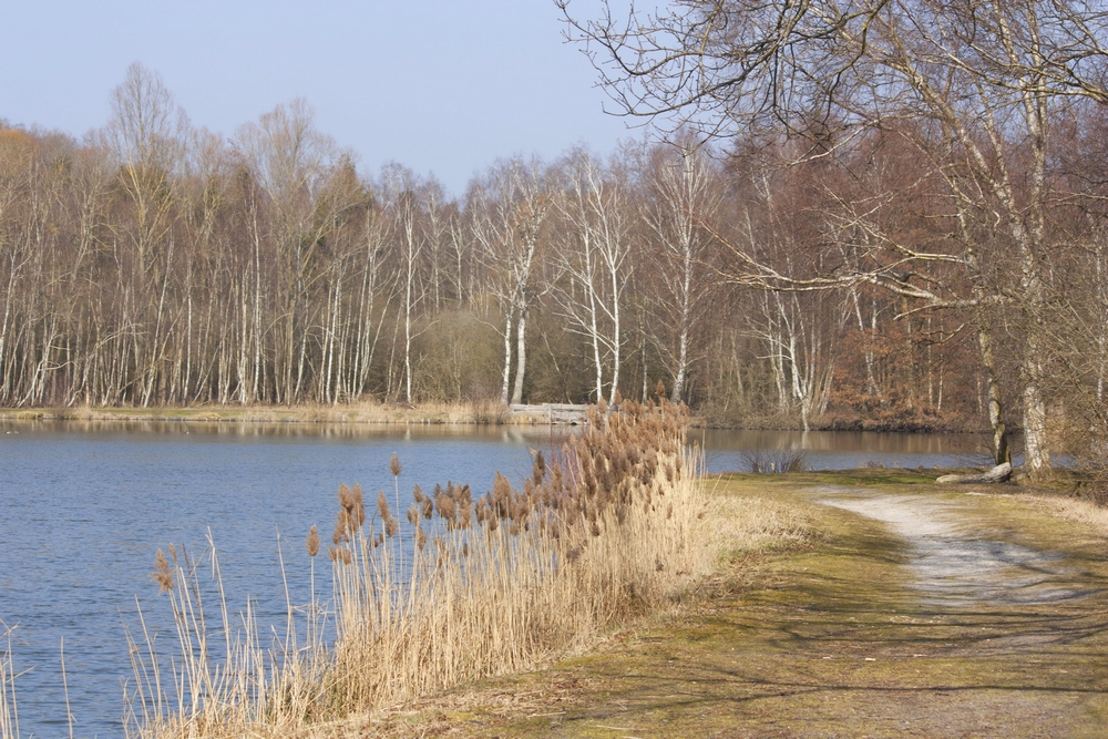 Fere-en-Tardenois-Nature_La-Boucle-Voyageuse (5)