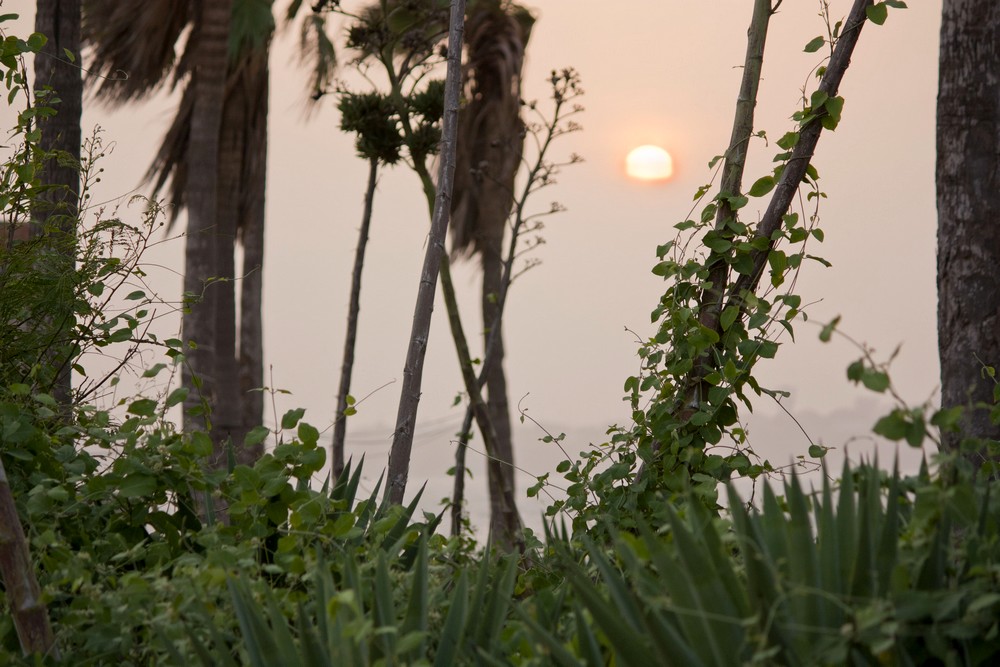 Ile-de-Goree_La-Boucle-Voyageuse (25)