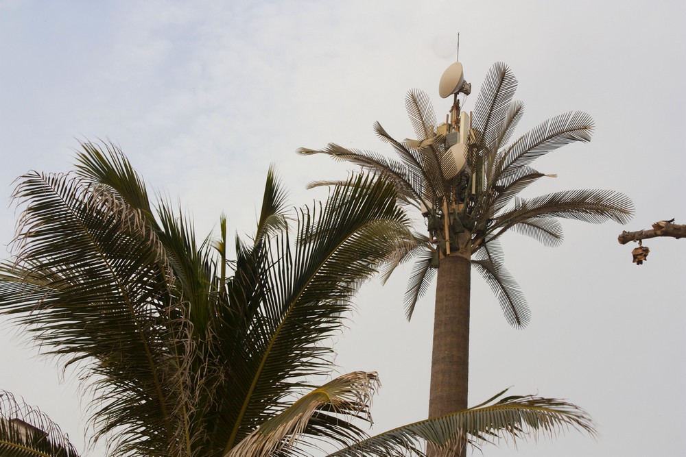 Ile-de-Goree_La-Boucle-Voyageuse (9)