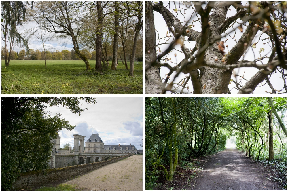 Château de Serrant_La-Boucle-Voyageuse (6)