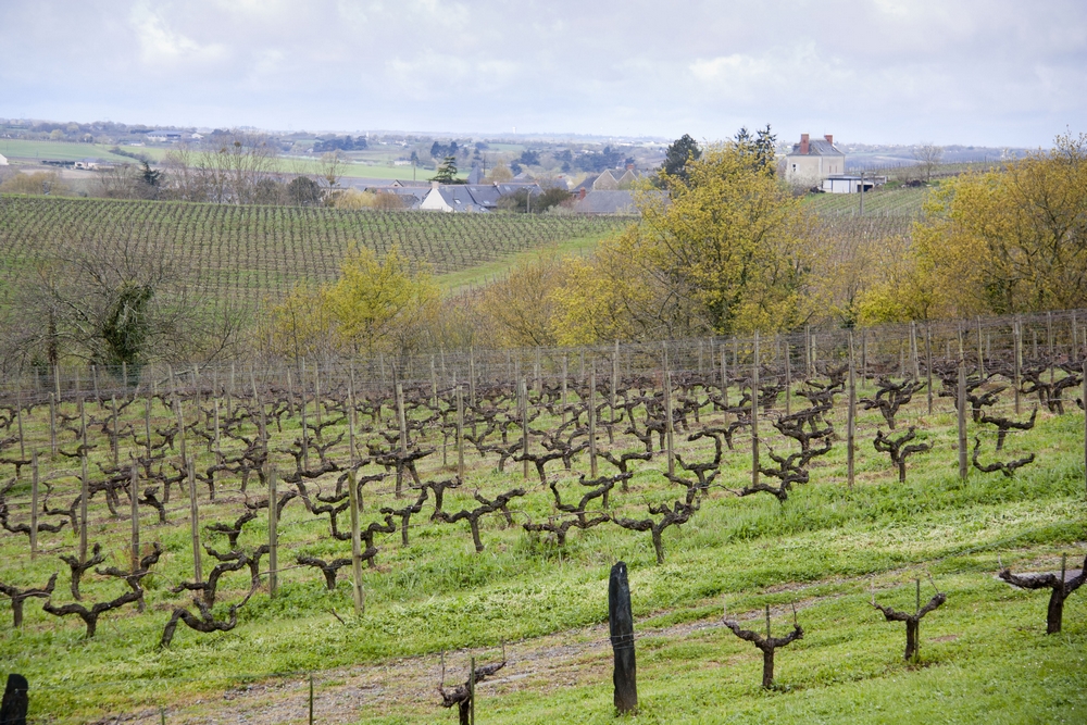 Domaine du Château de la Soucherie_La-Boucle-Voyageuse (4)