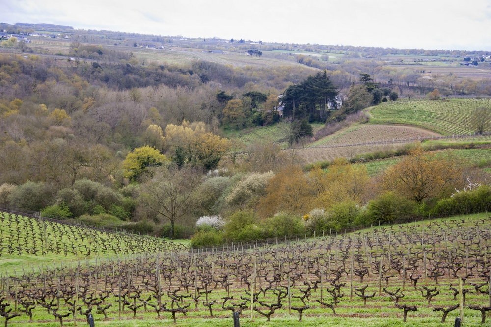 Domaine du Château de la Soucherie_La-Boucle-Voyageuse (5)