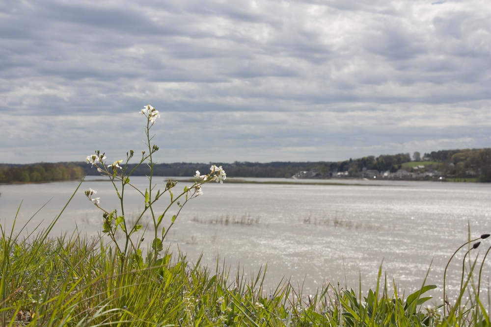 Loire_La-Boucle-Voyageuse (6)