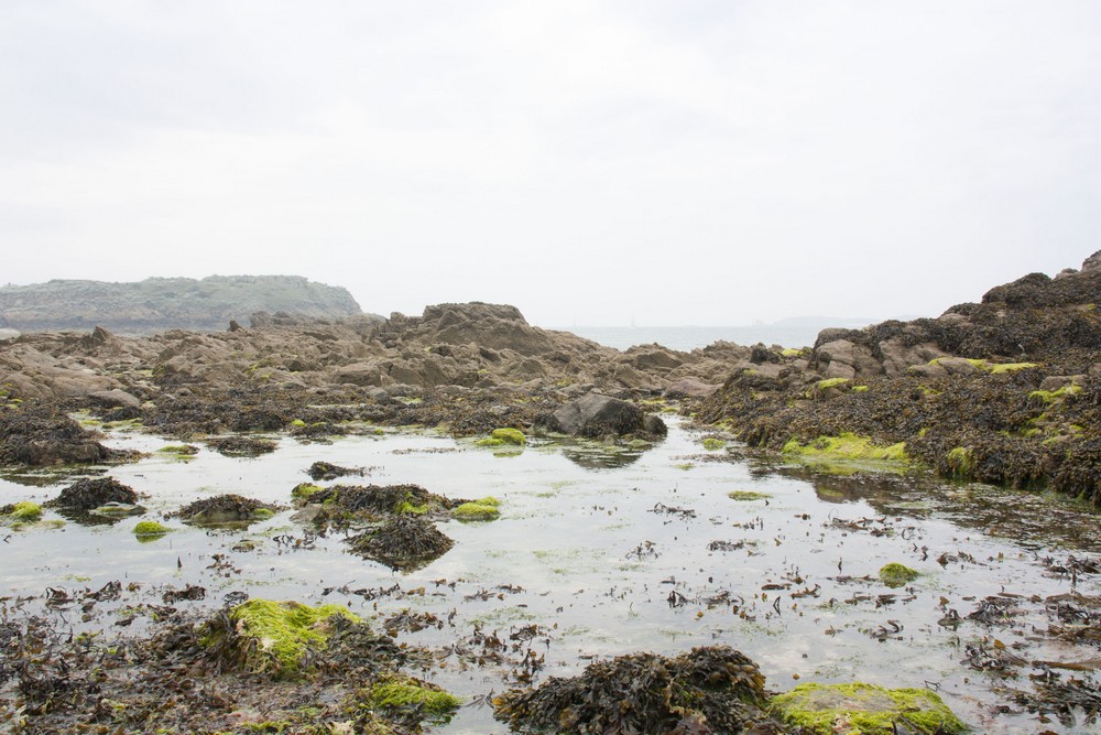 Saint Malo Week end La Boucle Voyageuse (25)