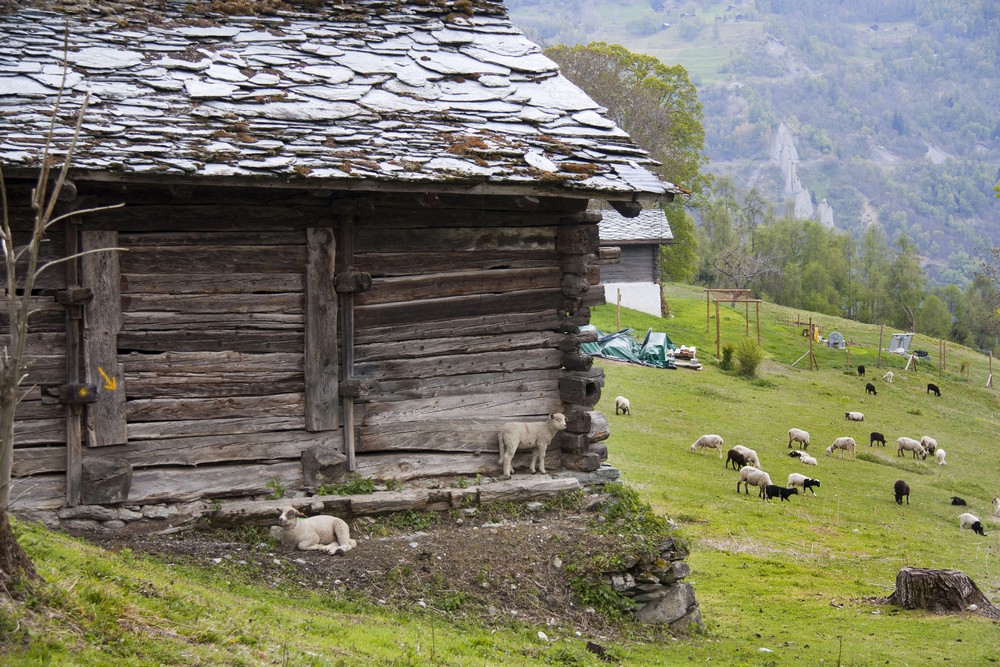 Val d'Herens_La-Boucle-Voyageuse (22)