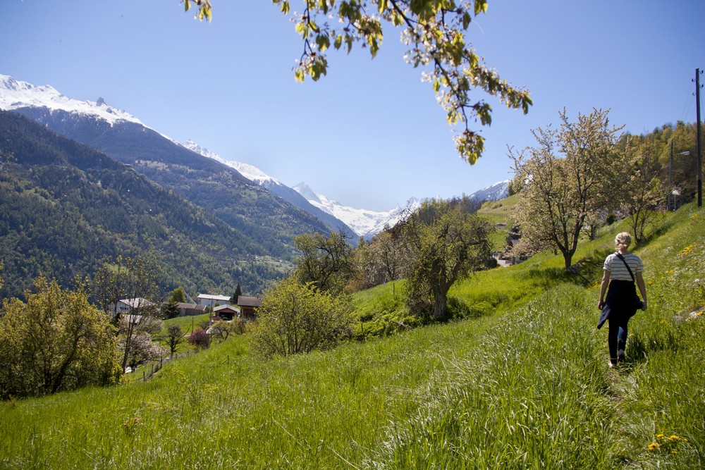 Val d'Herens_La-Boucle-Voyageuse (25)