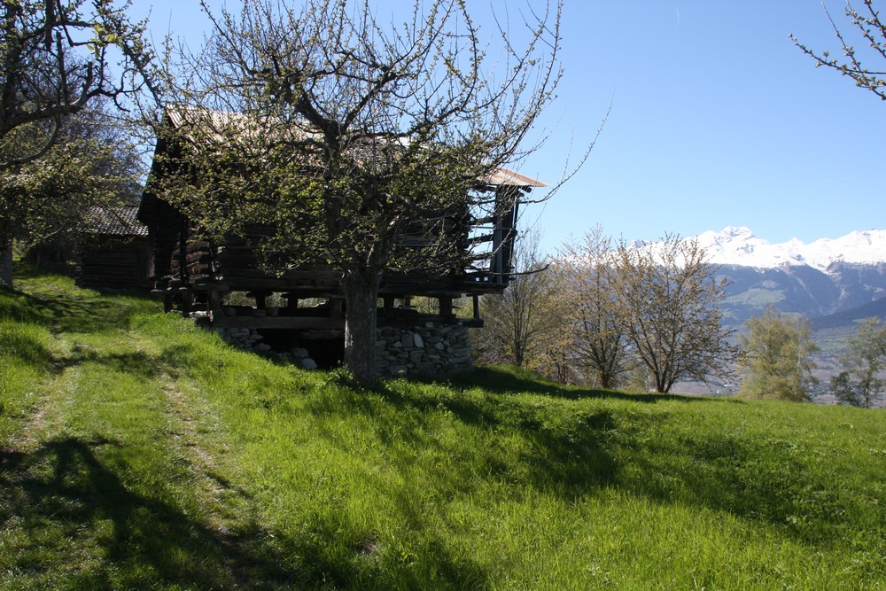 Val d'Herens_La-Boucle-Voyageuse (36)