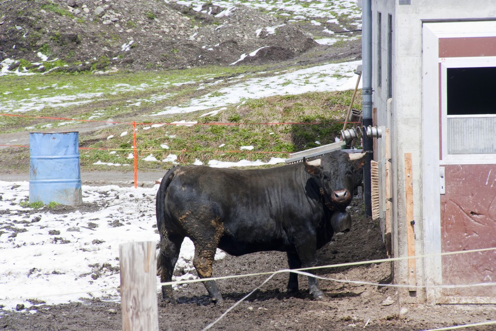 Val d'Herens_La-Boucle-Voyageuse (9)