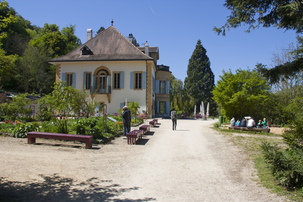 Yverdon les Bains Cariçaie La Boucle Voyageuse (12)