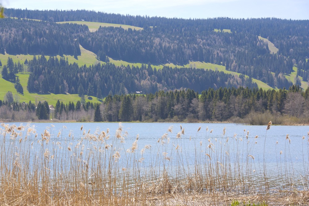 Vallee de Joux Suisse La Boucle Voyageuse (1)