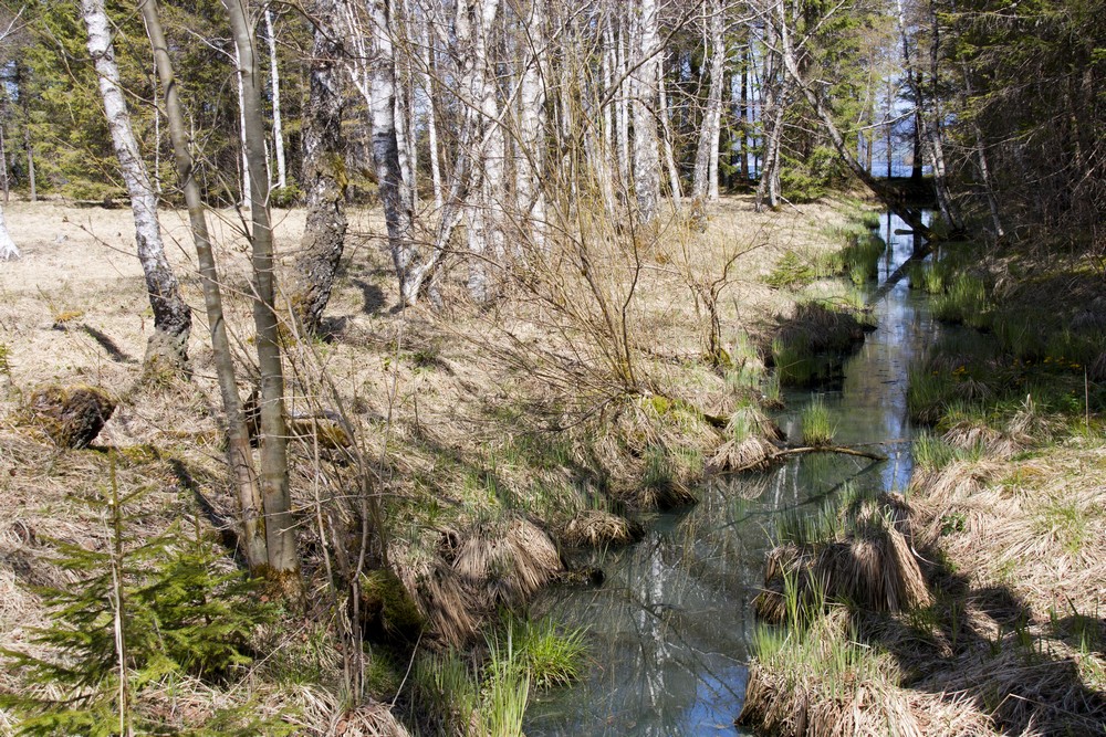 Vallee de Joux Suisse La Boucle Voyageuse (12)