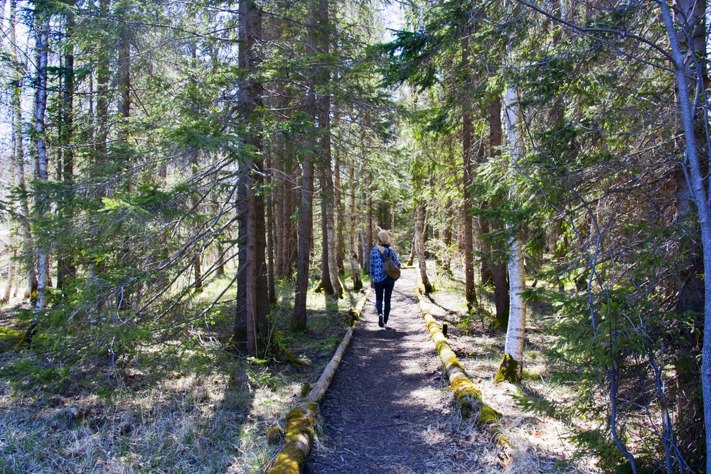 Vallee de Joux Suisse La Boucle Voyageuse (15)