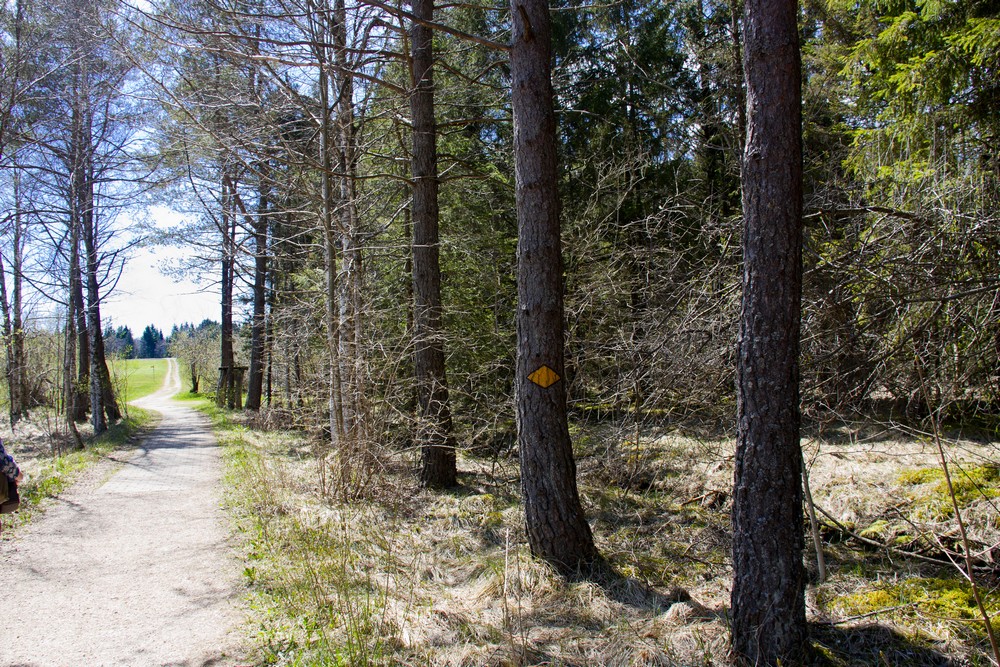 Vallee de Joux Suisse La Boucle Voyageuse (17)