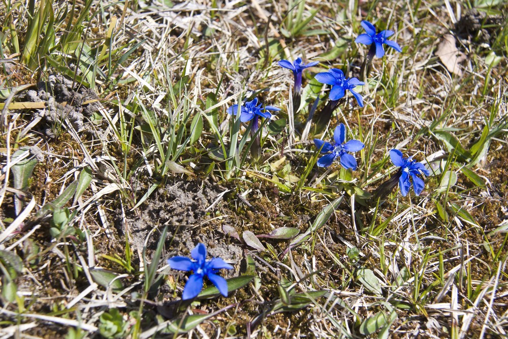 Vallee de Joux Suisse La Boucle Voyageuse (4)