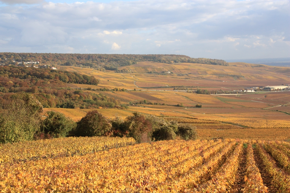 automne-champagne_la-boucle-voyageuse-12